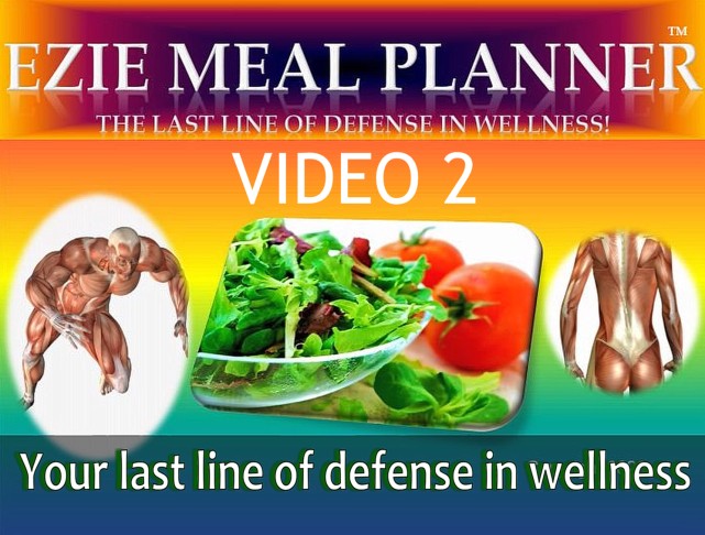 EZIE MEAL PLANNER NUTRITION PROGRAM  VIDEO 2 