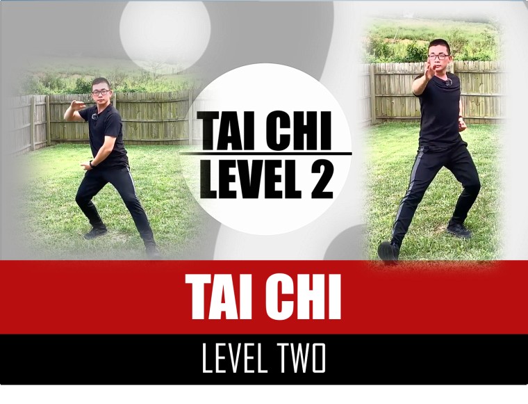 TAI CHI - LEVEL 2