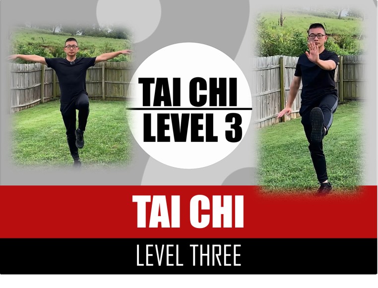 TAI CHI - LEVEL 3