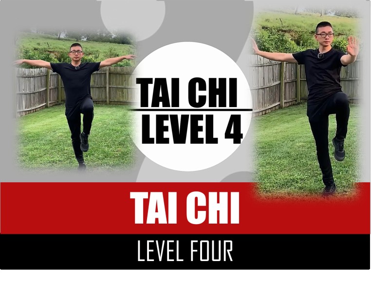 TAI CHI - LEVEL 4