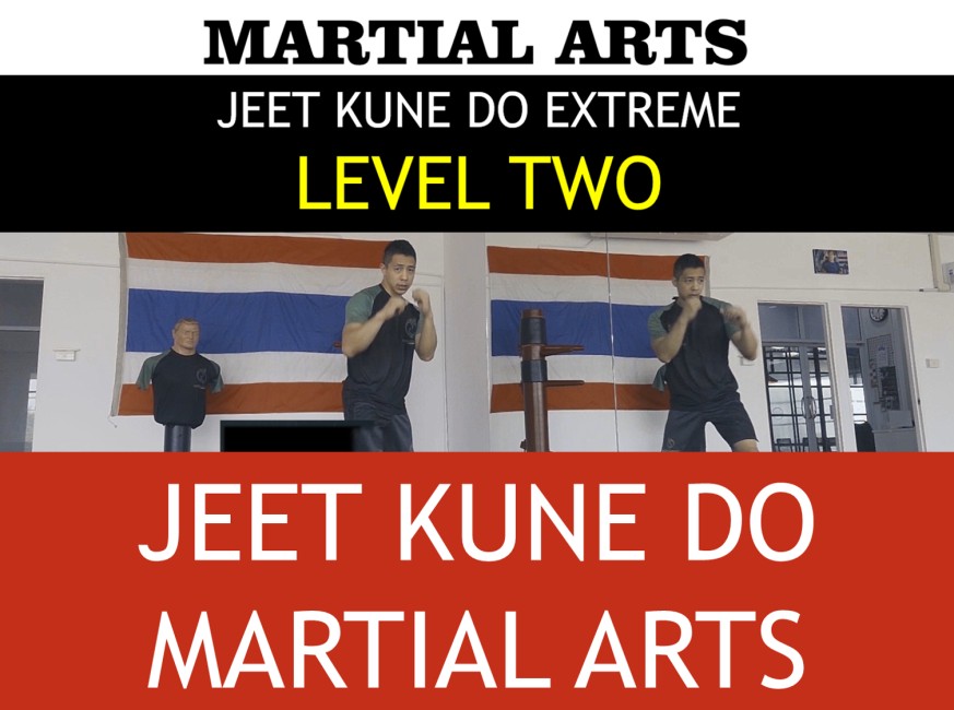 MARTIAL ARTS