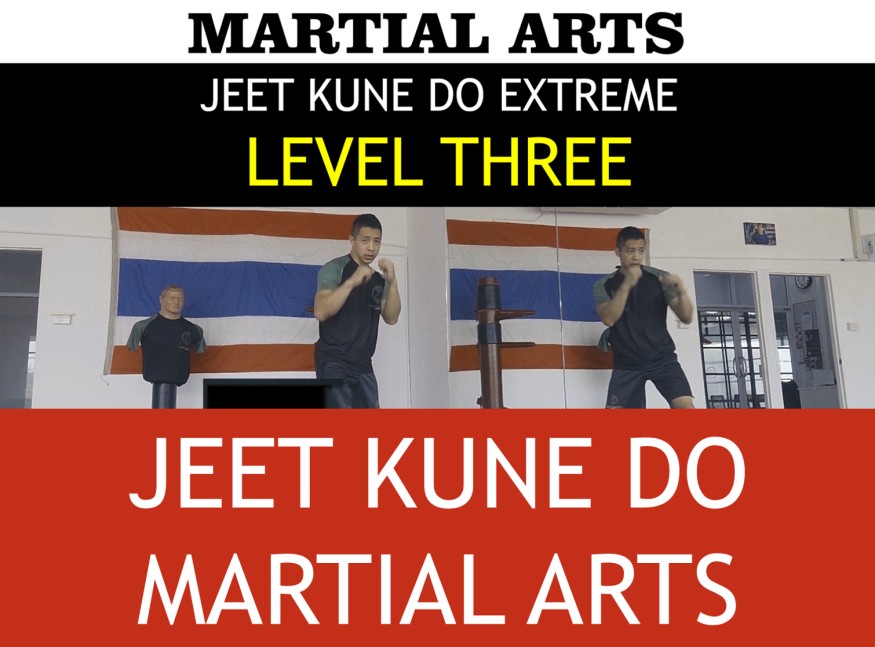 MARTIAL ARTS