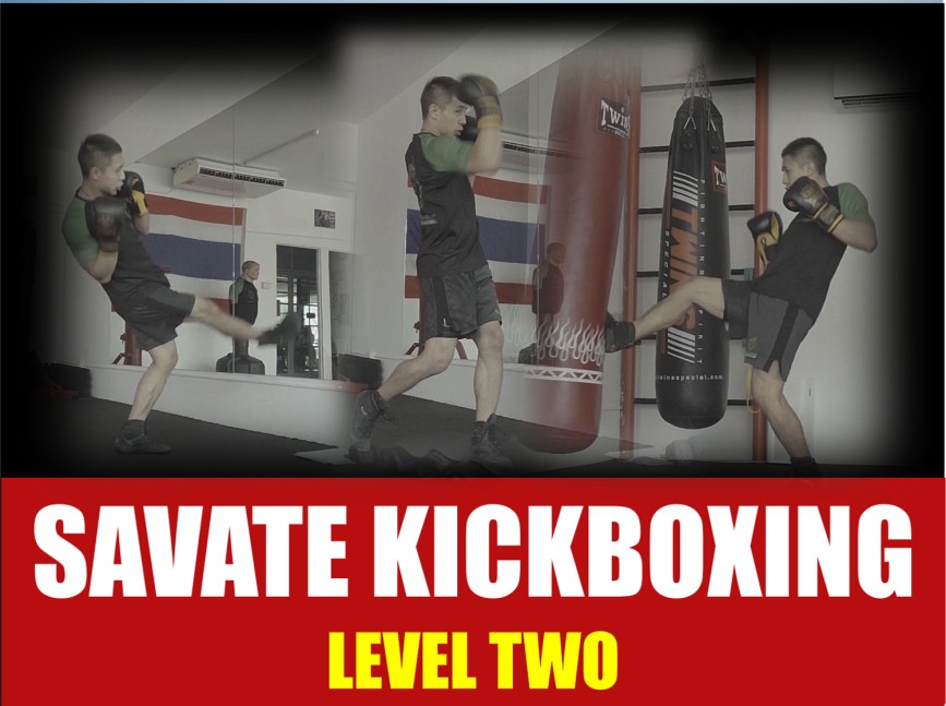 SAVATE KICKBOXING - LEVEL 2