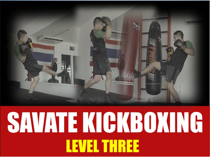 SAVATE KICKBOXING - LEVEL 3