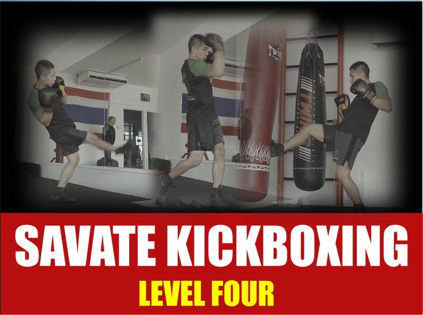 SAVATE KICKBOXING - LEVEL 4