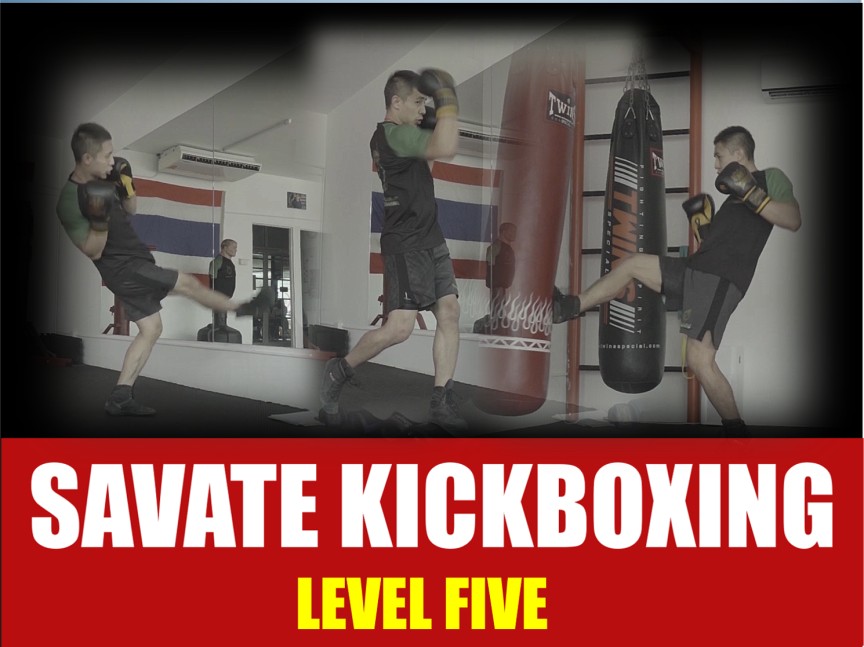 SAVATE KICKBOXING - LEVEL 5