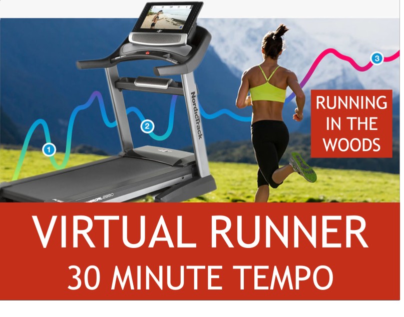 Virtual Tempo Run