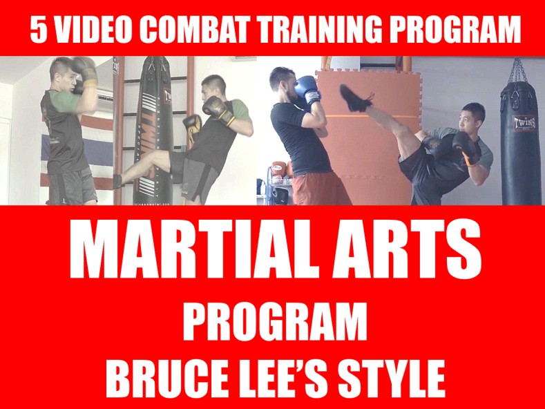 MARTIAL ARTS FITNESS PROGRAM 